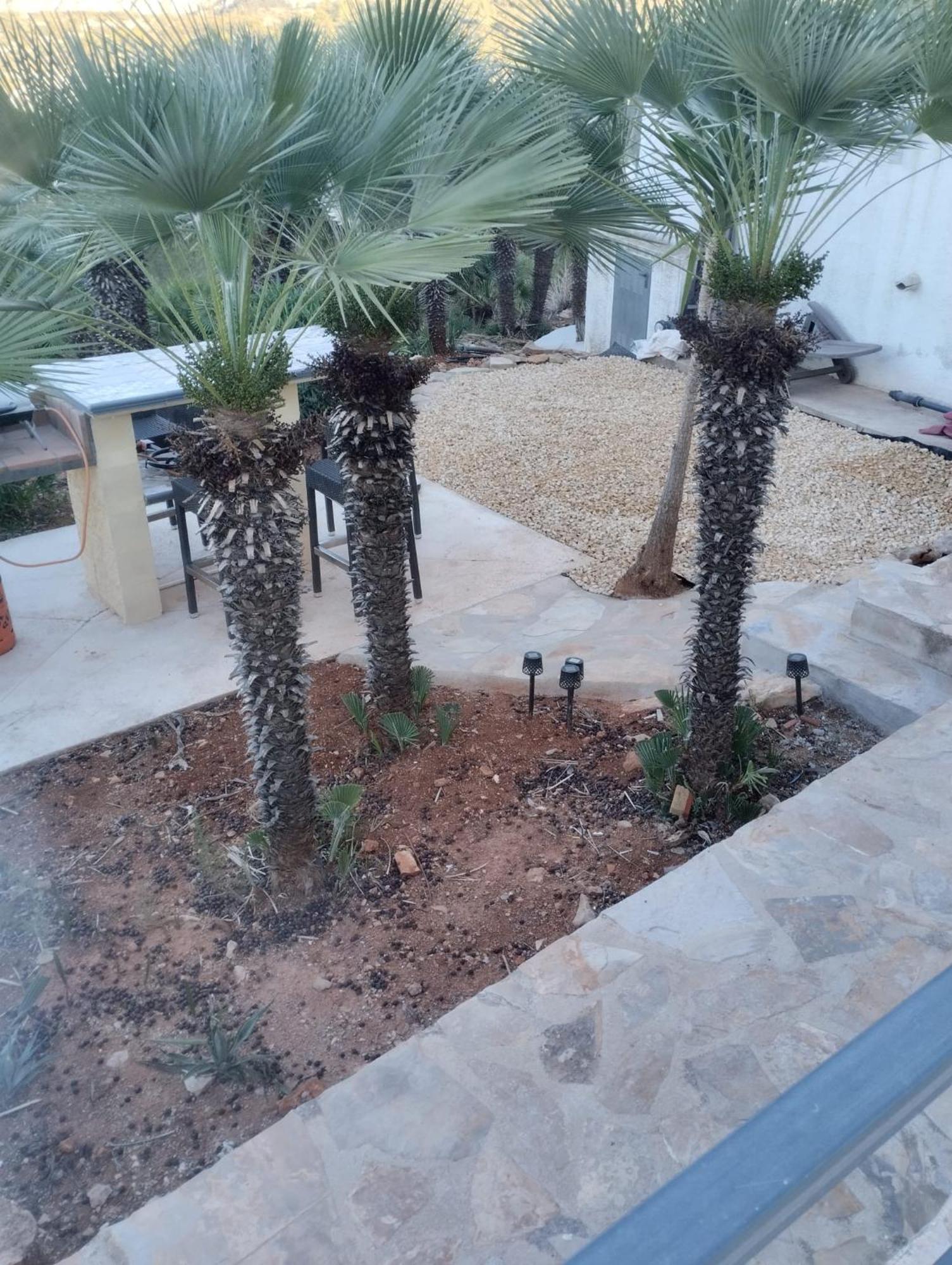 Luxe Appartement Met Tuin Benidoleig Esterno foto